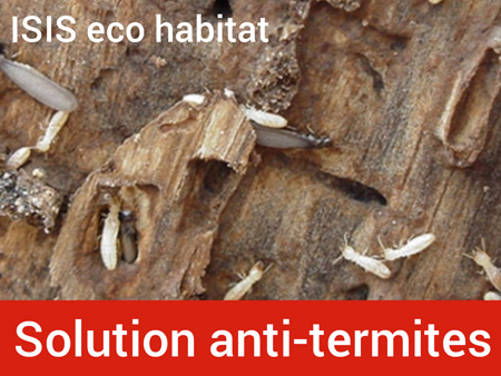 Traitement Termites Charpente Hendaye