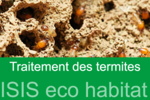 Traitement Termites Bayonne