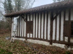 Traitement Termites Mont de Marsan